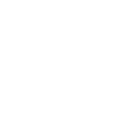 iOS App Development